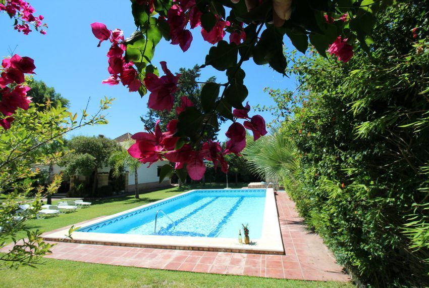 Villa Bonita - Holiday house by the sea in Fuente del Gallo for rent - pool