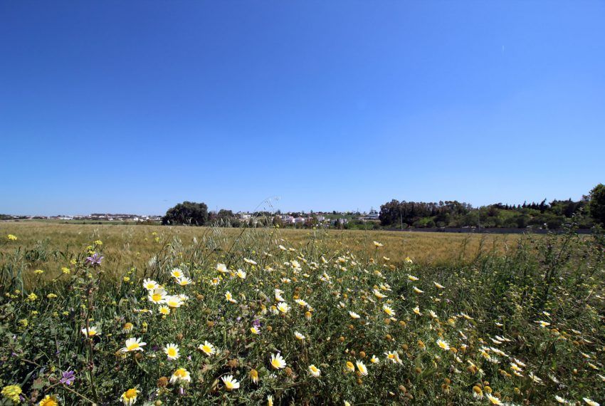 Casa Pepe - Holiday home in Fuente del Gallo for rent - Meadow in front of the house