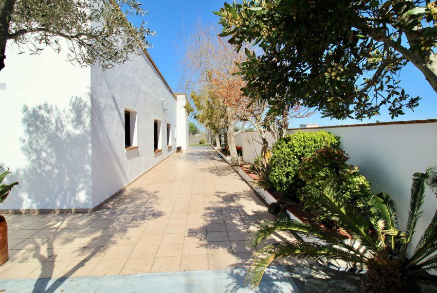 El Alamo - Holiday house in El Palmar for rent - back of house