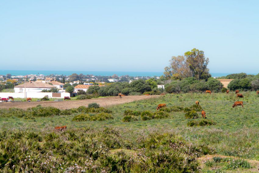 Casa Naufrago - Holiday house in El Palmar for rent - view to El Palmar